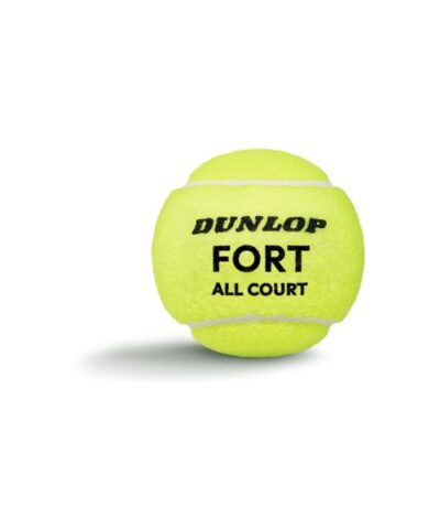 601605_fort-all-court-ball